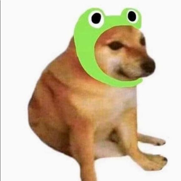 Meet your Posher, Lia - Picture 1 of 1